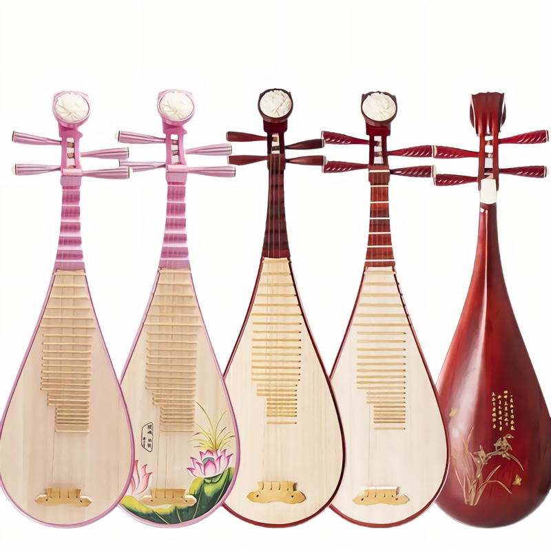 Pipa 【Adult Model-Beginner Version】